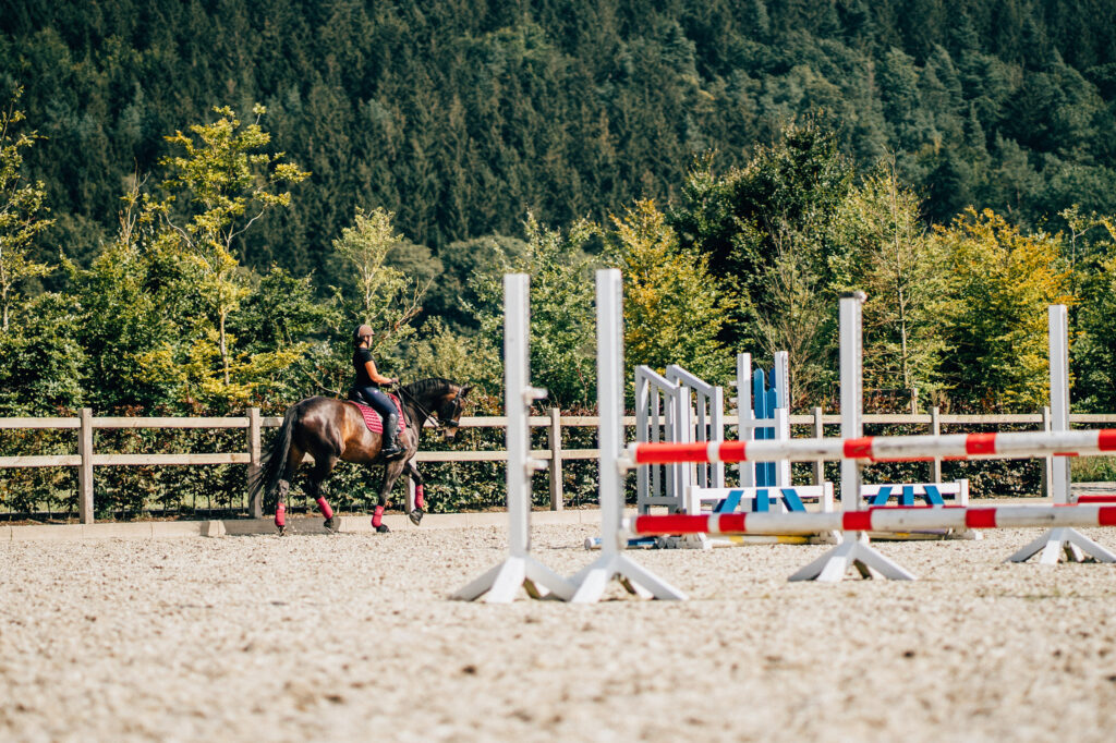 Réalisation de pistes équestres pour le jumping par Gebrüder Lenges