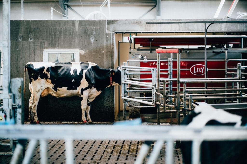 Pionniers de l’agro-industrie et de la biométhanisation - Gebrüder Lenges